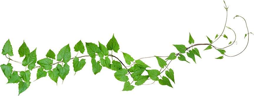 POP