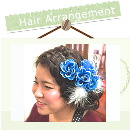Hair arrangement